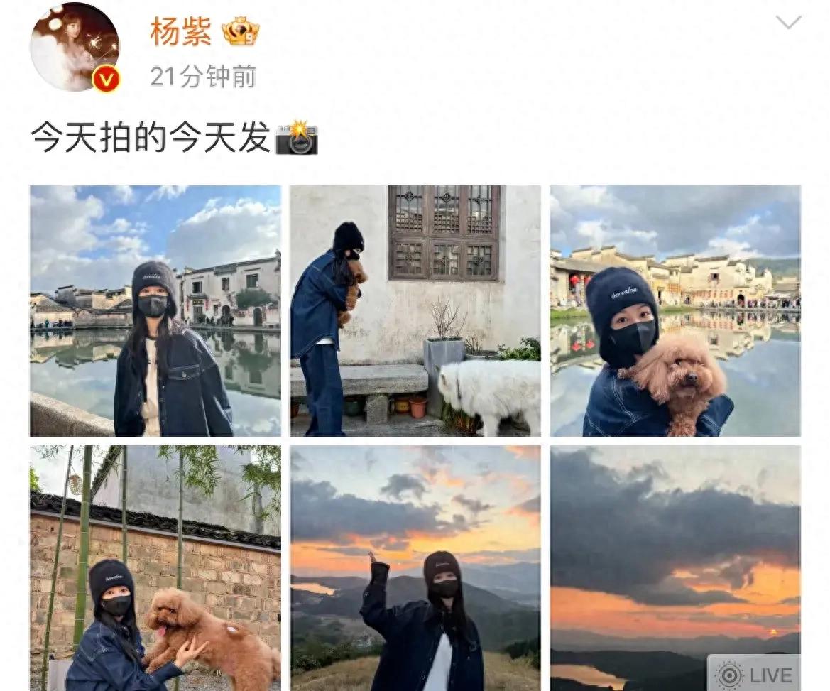 楊紫家業(yè)開機(jī)狀態(tài)