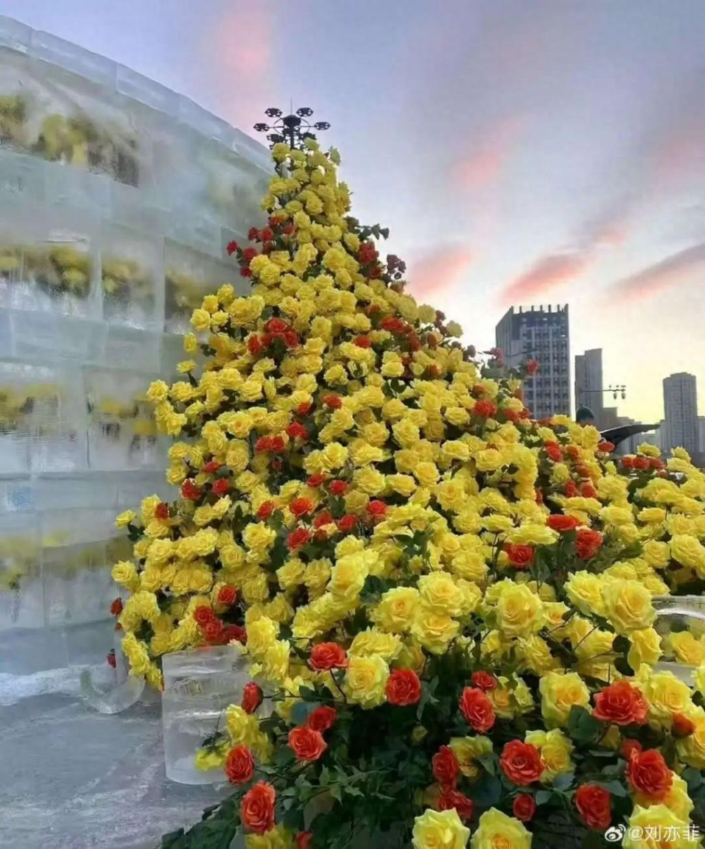 哈爾濱文旅回復劉亦菲