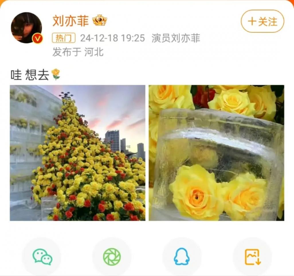 哈爾濱文旅回復劉亦菲