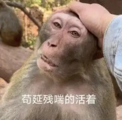 微信也沒想到 小藍(lán)包會(huì)被玩成這個(gè)樣子吧